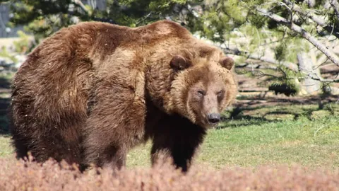 中国亚冬会豪取32金27银26铜，人民日报客户端点赞！