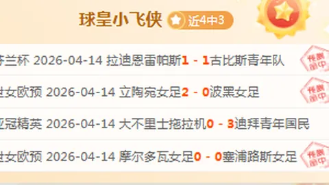 哈蘭德轉會費6000萬，原因何在？